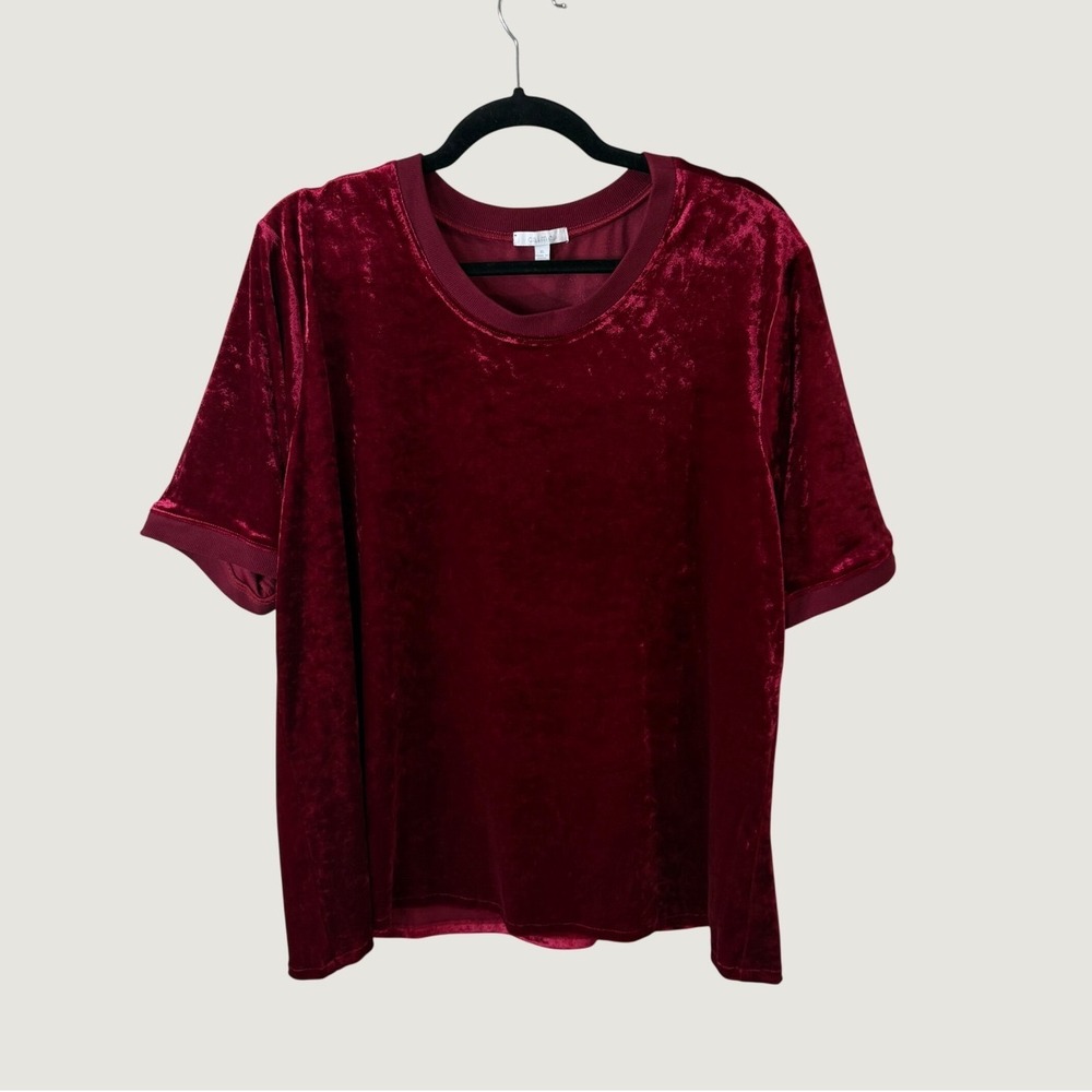 Johnny Was Calme Velvet Top Burgundy Red Short Sleeve XL Goth Dark Romantic Fall